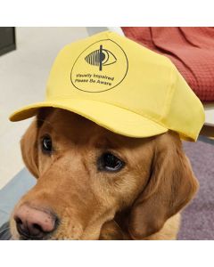 PSS Sun Baseball Cap - Yellow