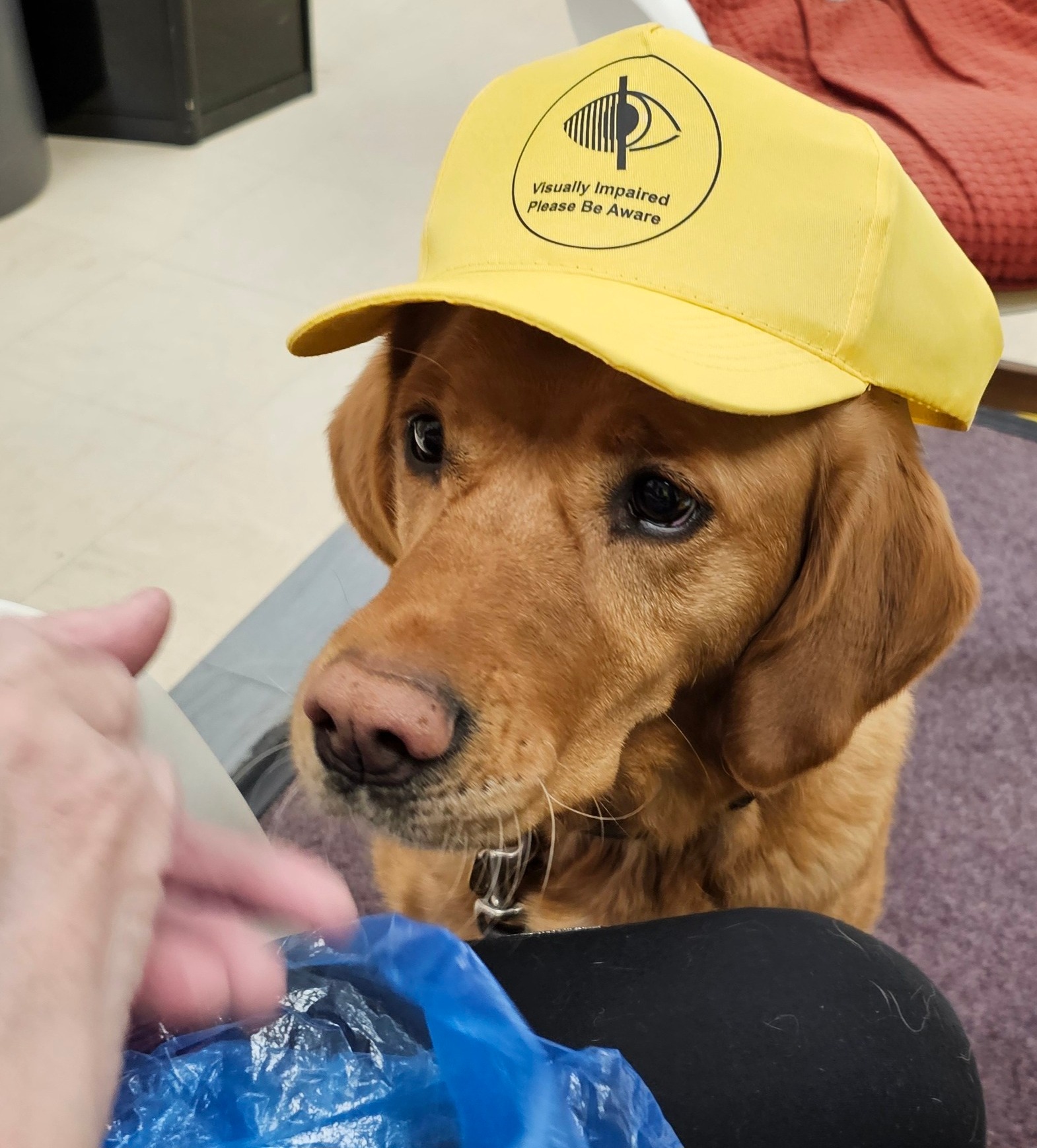 Introducing the PSS Visually Impaired Aware Baseball Cap