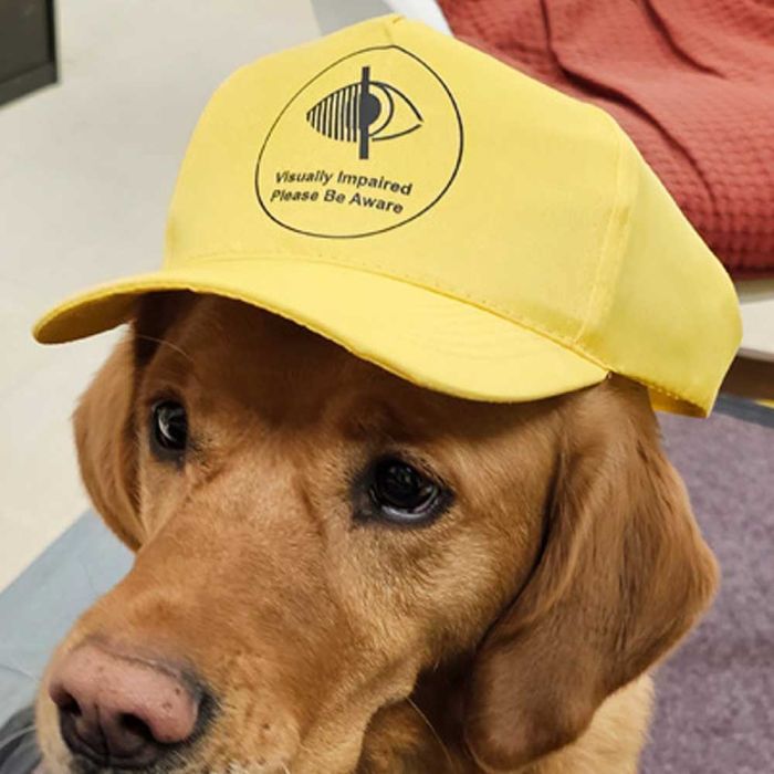 PSS Sun Baseball Cap