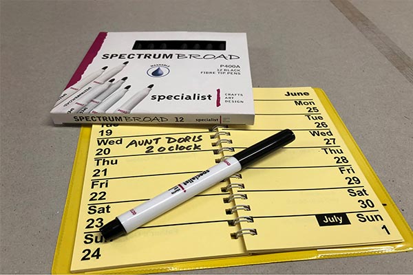 Pens and Diary